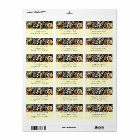 Schelpen, rotsen en koraal Natuur Fotografie Etiket (Full Sheet)