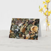 Schelpen, rotsen en koraal Natuur Fotografie Kaart (Gele Bloem)