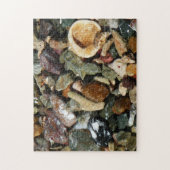 Schelpen, rotsen en koraal Natuur Fotografie Legpuzzel (Verticaal)