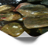 Schelpen, rotsen en koraal Natuur Fotografie Poster (Hoek)