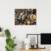 Schelpen, rotsen en koraal Natuur Fotografie Poster (Thuiskantoor)
