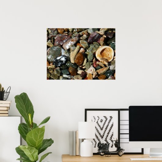 Schelpen, rotsen en koraal Natuur Fotografie Poster (Thuiskantoor)