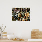 Schelpen, rotsen en koraal Natuur Fotografie Poster (Keuken)