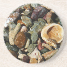 Schelpen, rotsen en koraal Natuur Fotografie