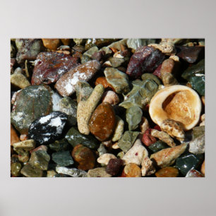 Schelpen, Rotsen en Koraal Natuurfotografie Poster
