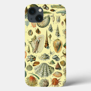 Schelpen Schelp Weekdier Mossel Elegante Klassieke Case-Mate iPhone Case