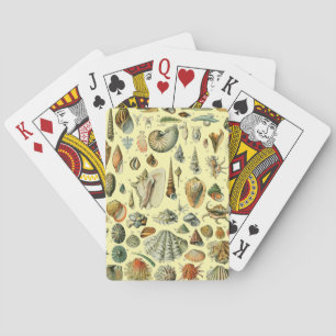 Schelpen Schelp Weekdier Mossel Elegante Klassieke Pokerkaarten