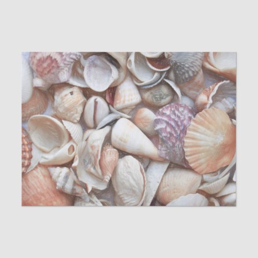 Schelpen Schets Oceaan Zeevaart Strand Decoupage Tissuepapier (Voorkant)
