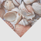 Schelpen Schets Oceaan Zeevaart Strand Decoupage Tissuepapier (Detail)