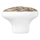 schelpen, strand, water, zand, zee, zee, foto, keramische knop (Zijkant)