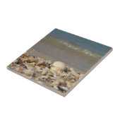 schelpen, strand, water, zand, zee, zee, foto, tegeltje (Zijkant)