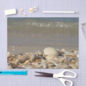 schelpen, strand, water, zand, zee, zee, foto, tissuepapier (Craft)