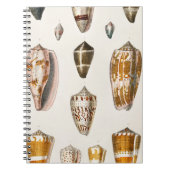 Schelpen uit Een geschiedenis van de aarde 2 Notitieboek (Voorkant)