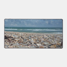 Schelpen uit Florida Atlantische Oceaan Strand Fot Bureaumat