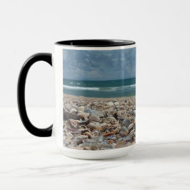 Schelpen uit Florida Atlantische Oceaan Strand Fot Mok