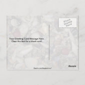 Schelpen van de Caraïbische en Pacifische Shell Briefkaart (Achterkant)