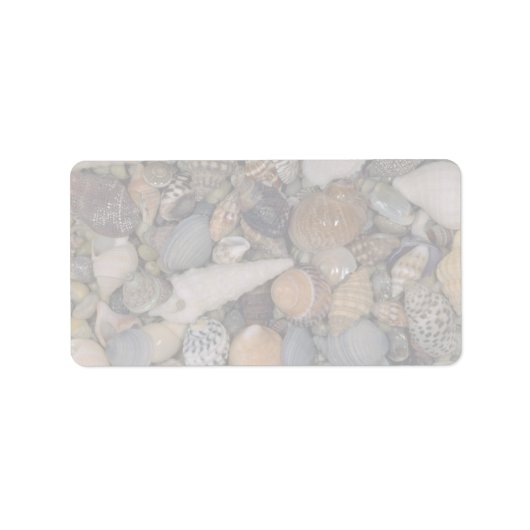 Schelpen van de World Shell Etiket (Voorkant)