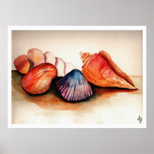 Schelpen van de zomer poster (Voorkant)