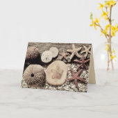 Schelpen van Sanibel & Captiva Kaart (Gele Bloem)