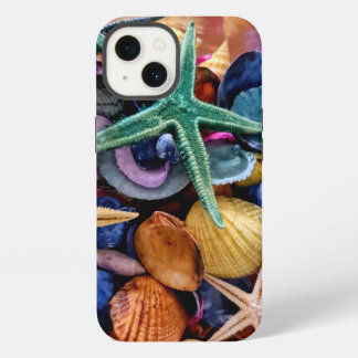 Schelpen, zeesterren, oceaan iPhone 13 hoesje