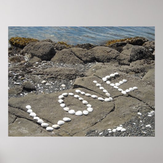 Schelpenkunst op het strand poster (Voorkant)