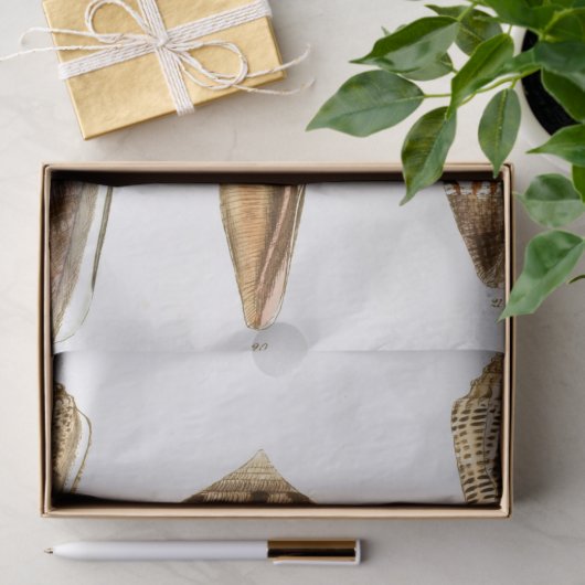  schelpenpapier tissuepapier (Geschenk)