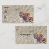 Schelpenprofielkaart Visitekaartje (Voorkant / Achterkant)