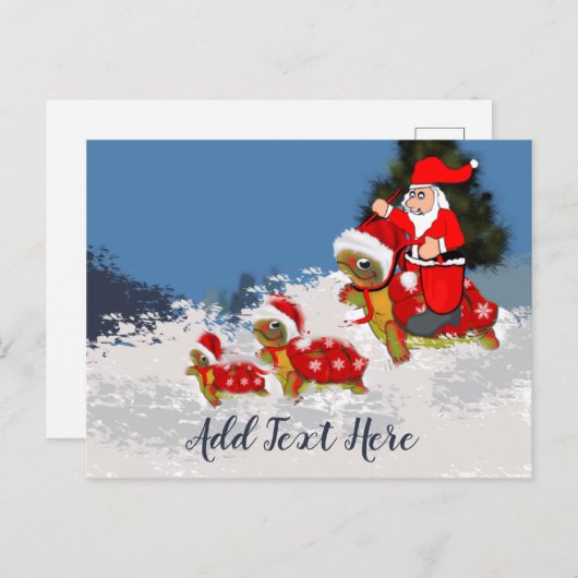 Schelphoezen Briefkaart (Voorkant / Achterkant)