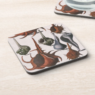 Schelpjes, Antieke Zee Schelpen, Oceaan Zeeleven Bier Onderzetter