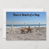 Schelpjes op het strand - Florida Leven - Plat kaa (Voorkant)