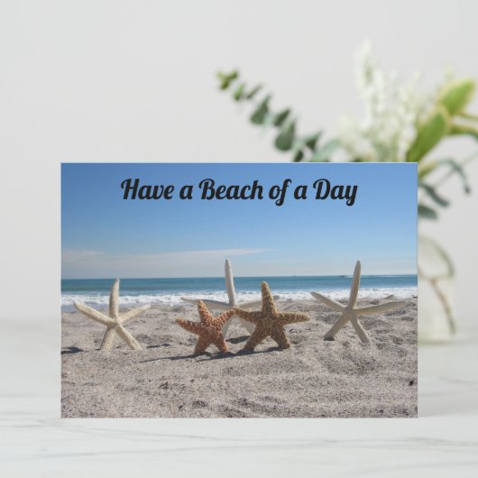 Schelpjes op het strand - Florida Leven - Plat kaa (Staand voorkant)