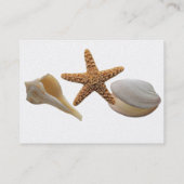 Schelpprofielkaart Visitekaartje (Achterkant)