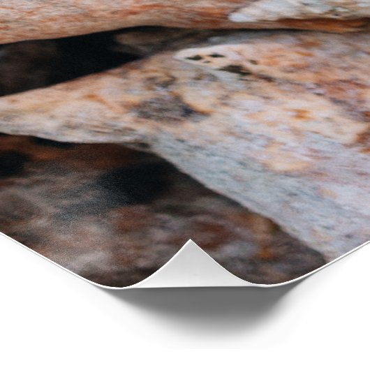 Schelpschelp, Bahama's Perfect Poster (Hoek)