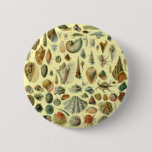 Schelpschelp Weekdier Mossel Elegante Klassieke Ku Ronde Button 5,7 Cm