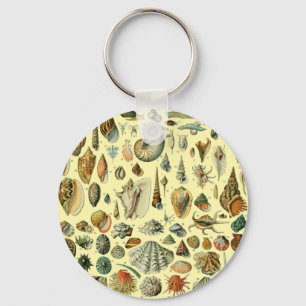 Schelpschelp Weekdier Mossel Elegante Klassieke Ku Sleutelhanger