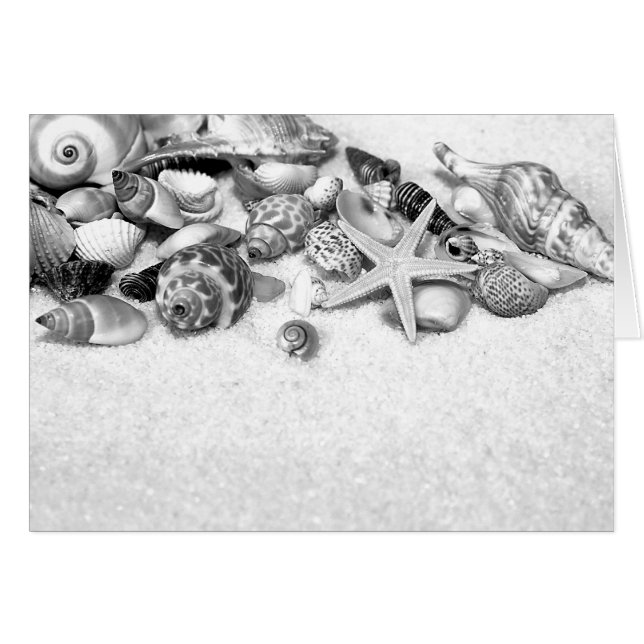 Schelpschelpen en Kaart (Voorkant Horizontaal)