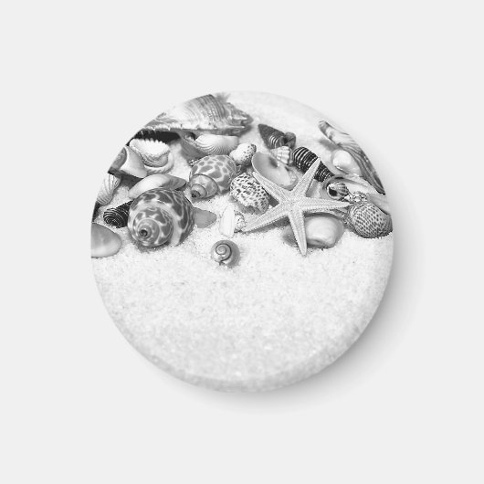 Schelpschelpen en zeeduivel magneet (Voorkant)