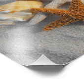 Schelpschelpen en zeegarnaal, gemengd op witte zan foto afdruk (Hoek)