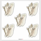  schelpset van 5 sticker (Vel)