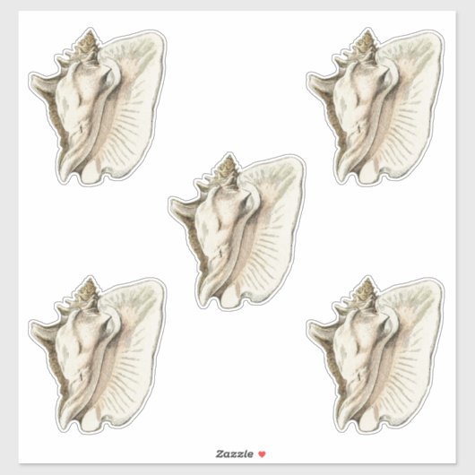 schelpset van 5 sticker (Vel)