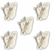 schelpset van 5 sticker (Voorkant)