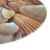 SCHELPSTRAND SNIJPLANK (Hoek)