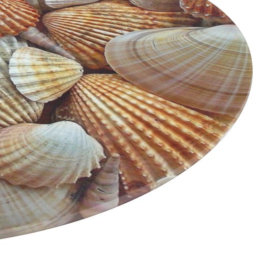 SCHELPSTRAND SNIJPLANK (Hoek)