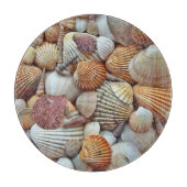 SCHELPSTRAND SNIJPLANK (Voorkant)