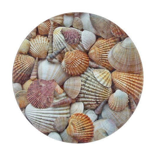 SCHELPSTRAND SNIJPLANK (Voorkant)