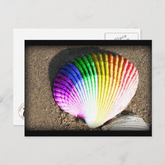 schelptrots briefkaart (Voorkant / Achterkant)