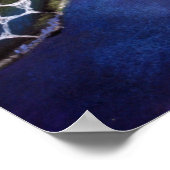 Scheluwschildpad Poster (Hoek)