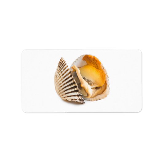 Schelvis Etiket (Voorkant)