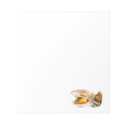 Schelvis Notitieblok (Voorkant)