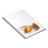 Schelvis Notitieboek (Rechterzijde)